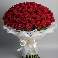Букет 101 Красная роза Блэк Мэджик в Здравнице