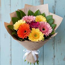 Букет цветов из:  Герберы в Здравнице