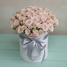 Цветочная композиция из Розы в шляпной коробке #REPLACE_PRED# Здравнице