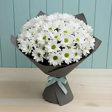 Букет цветов из:  Хризантемы в Здравнице