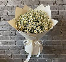Букет цветов из:  Ромашки в Здравнице