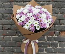 Букет цветов из:  Хризантемы в Здравнице