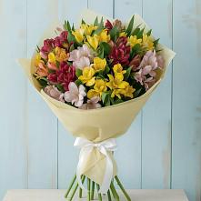 Букет цветов из:  Альстромерии в Здравнице