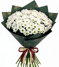 Букет цветов из:  Хризантемы #REPLACE_PRED# Здравнице