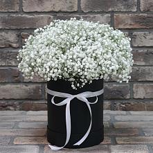 Цветочная композиция из Гипсофила в шляпной коробке в Здравнице