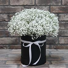 Цветочная композиция из Гипсофила в шляпной коробке в Здравнице