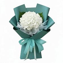 Букет цветов из:  Гортензия в Здравнице